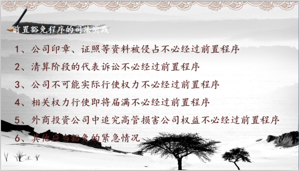 股东代表诉讼1-9