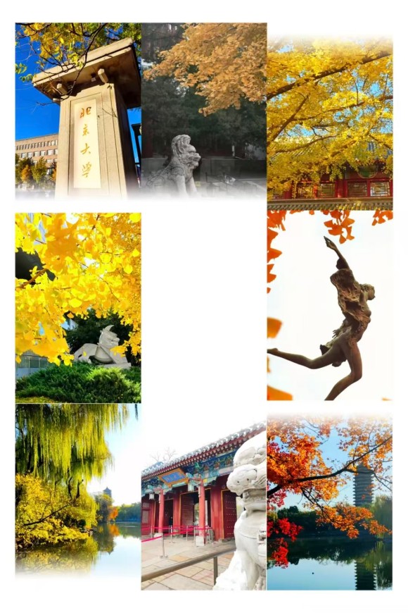 微信图片_20250926114456_274_80